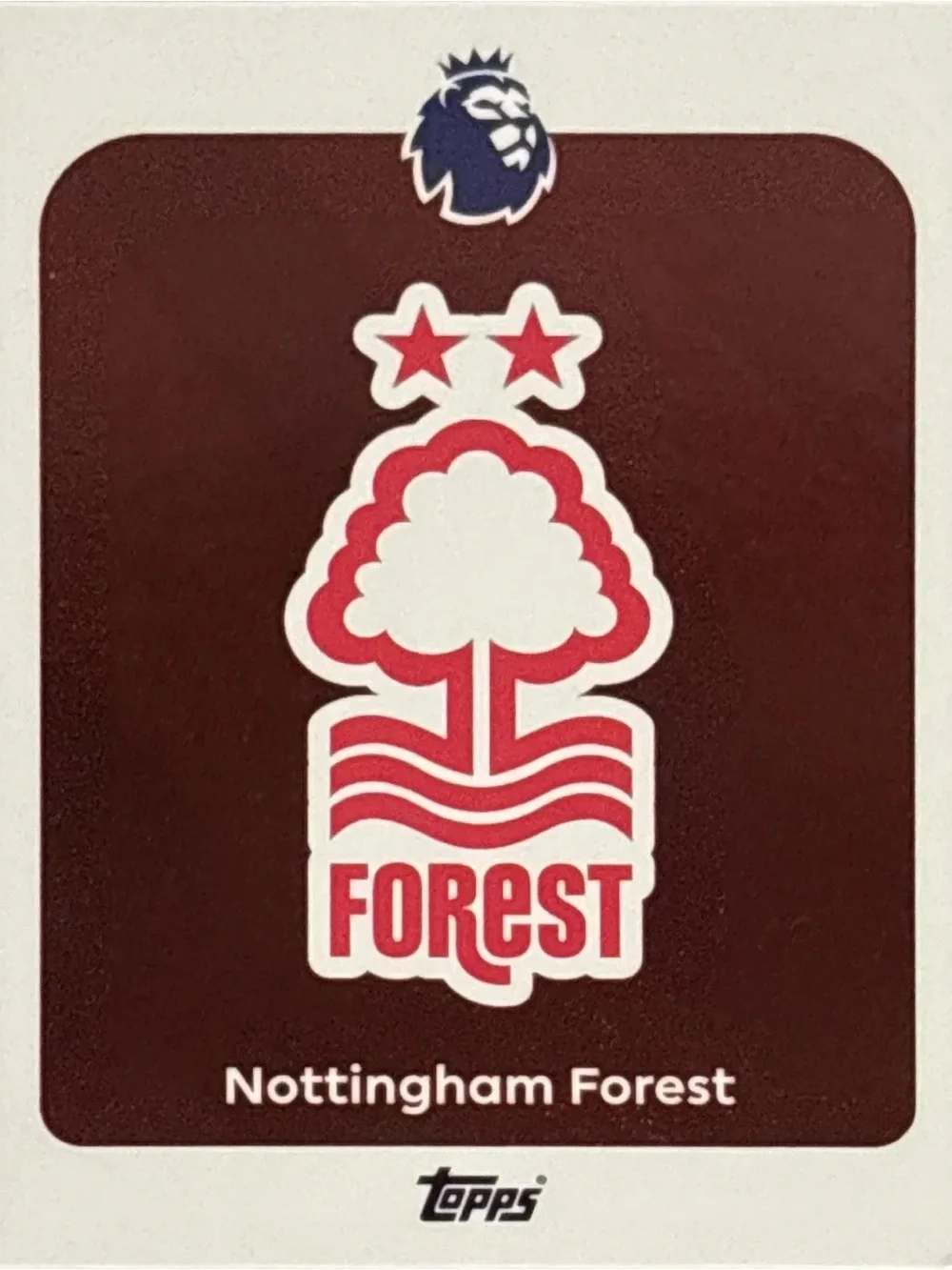 Topps Nottingham Forest Soccer Trading Card